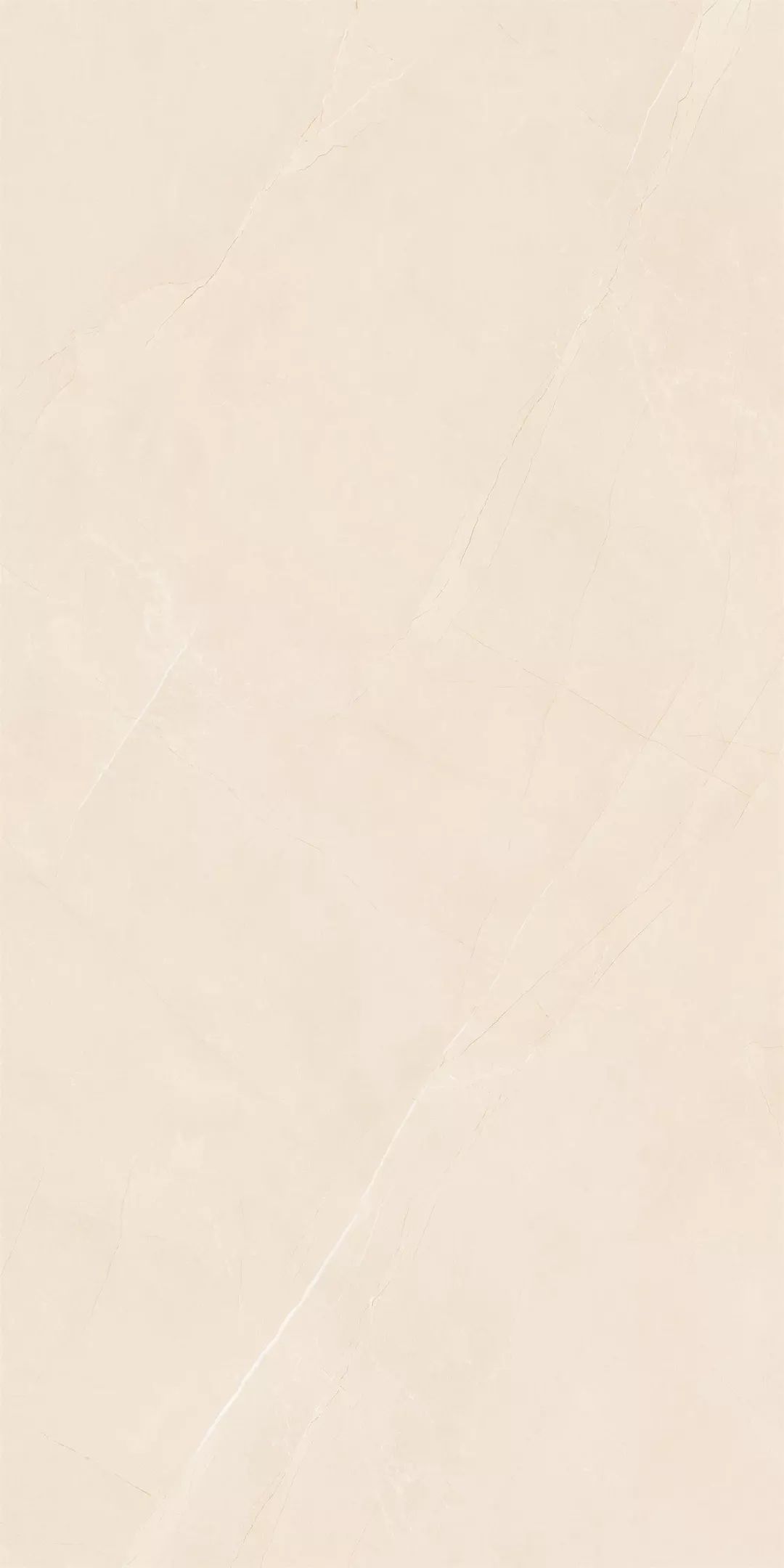 1555311916567020.jpg 5.jpg