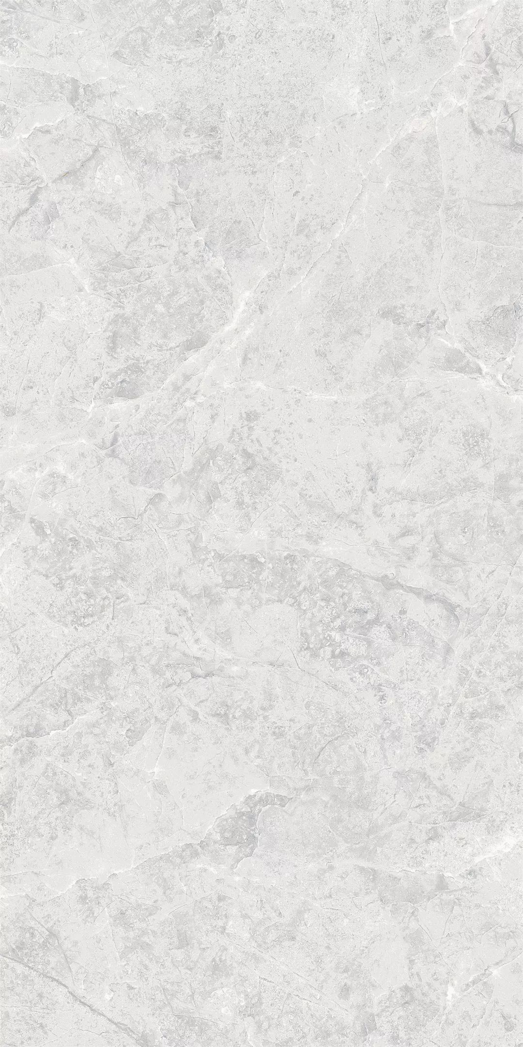 1555311985585793.jpg 8.jpg