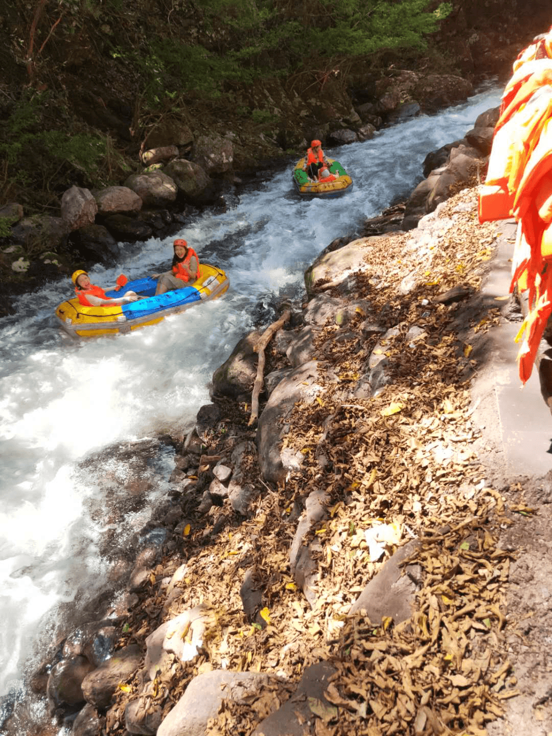 1597219395661851.png 圖片29.png