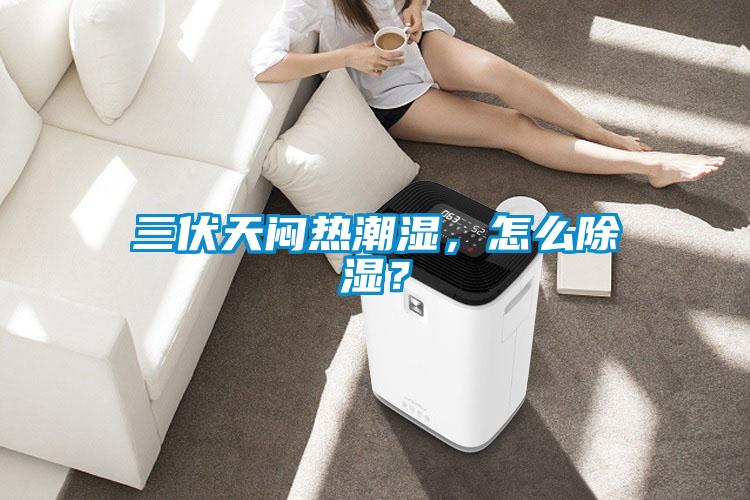 三伏天悶熱潮濕，怎么除濕？