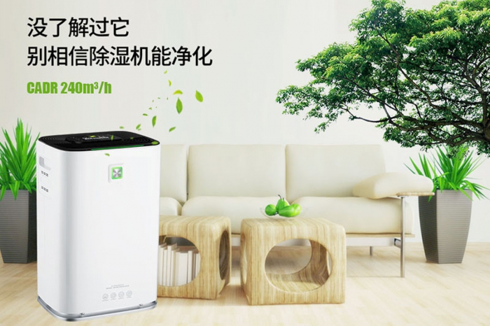 一到回南天狗狗就感冒+皮膚病，怎么辦？