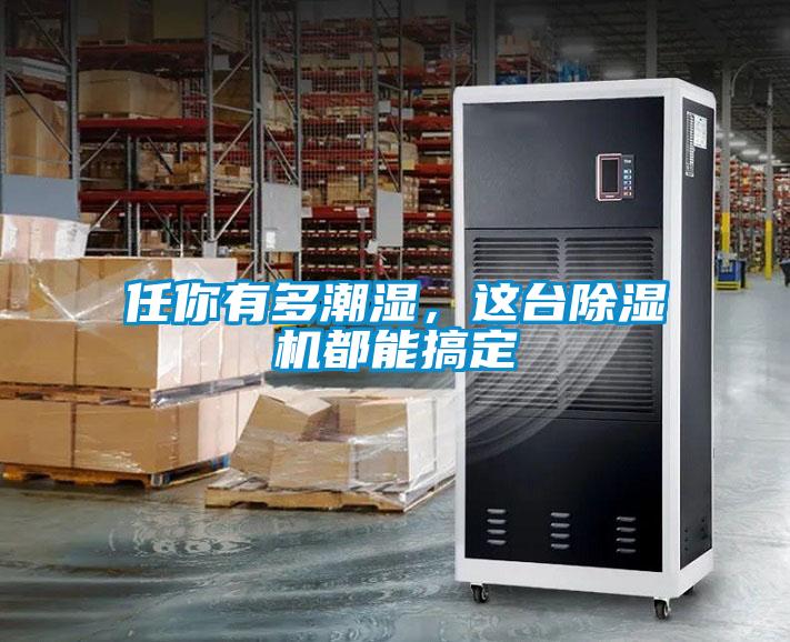任你有多潮濕，這臺除濕機都能搞定