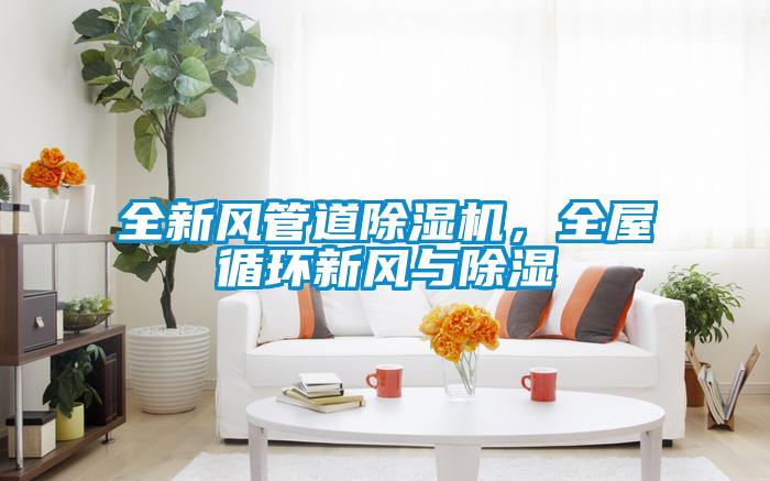 全新風管道除濕機，全屋循環(huán)新風與除濕
