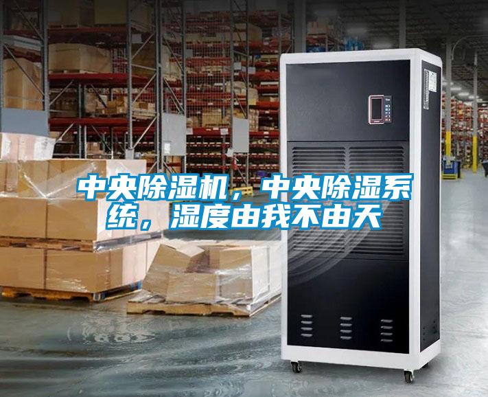 中央除濕機，中央除濕系統(tǒng)，濕度由我不由天