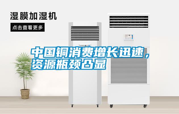 中國(guó)銅消費(fèi)增長(zhǎng)迅速，資源瓶頸凸顯