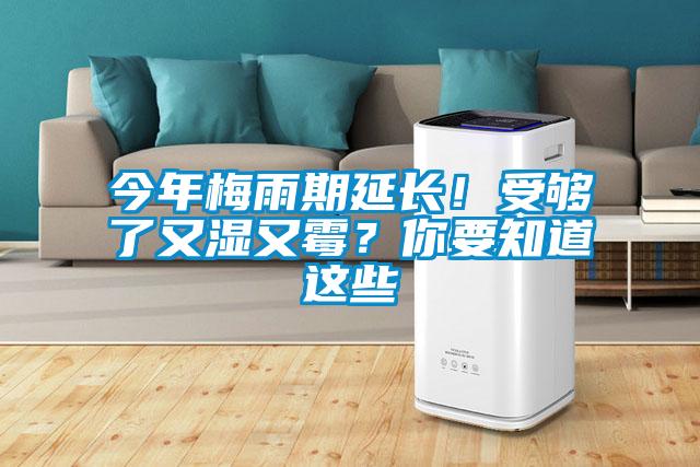 今年梅雨期延長！受夠了又濕又霉？你要知道這些