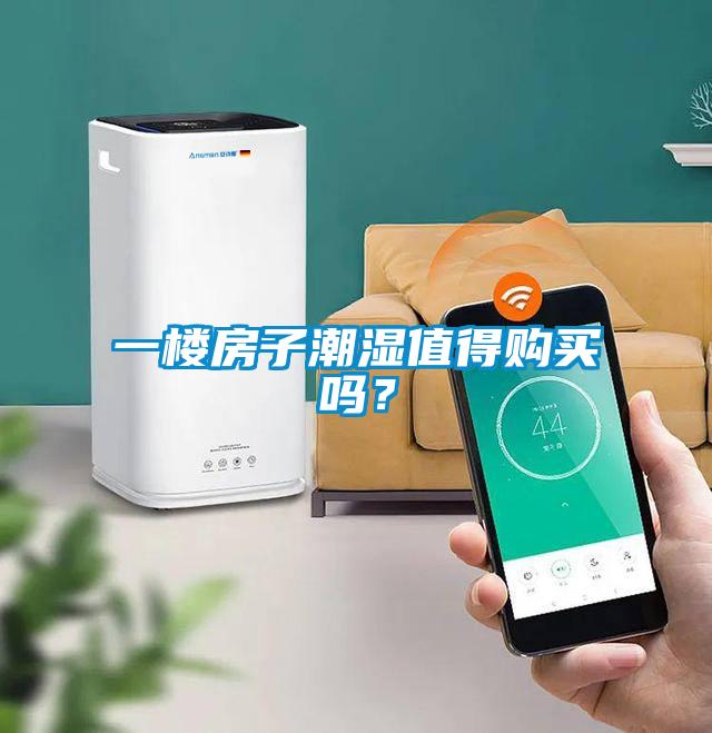 一樓房子潮濕值得購買嗎？