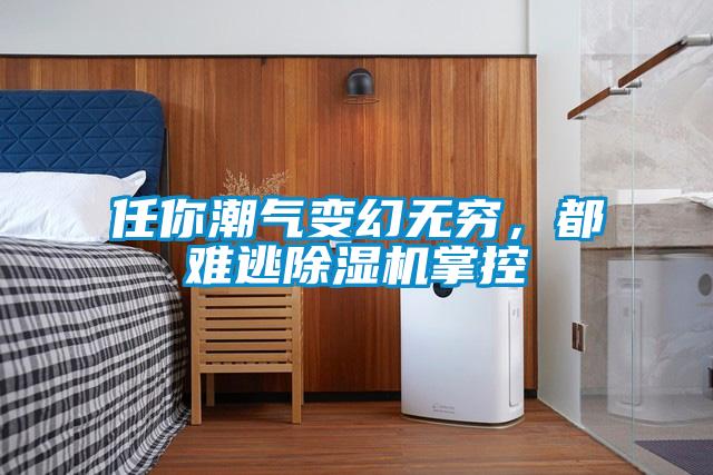 任你潮氣變幻無窮，都難逃除濕機掌控