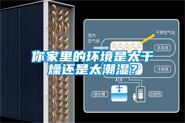 你家里的環(huán)境是太干燥還是太潮濕？