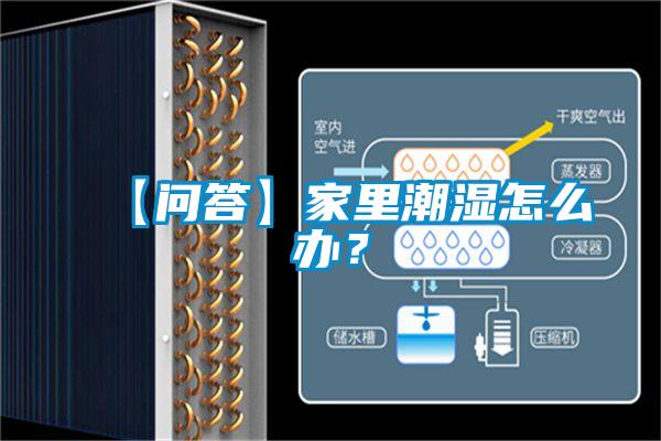 【問(wèn)答】家里潮濕怎么辦？