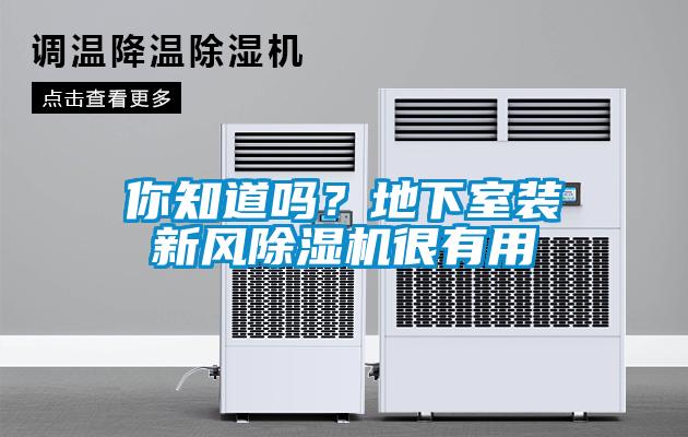 你知道嗎？地下室裝新風(fēng)除濕機(jī)很有用