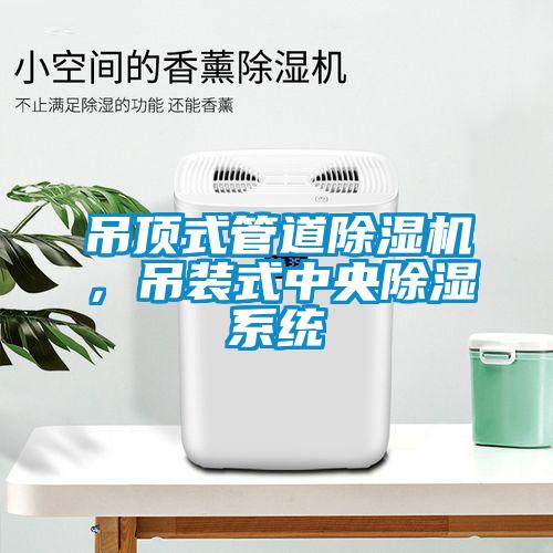 吊頂式管道除濕機，吊裝式中央除濕系統(tǒng)