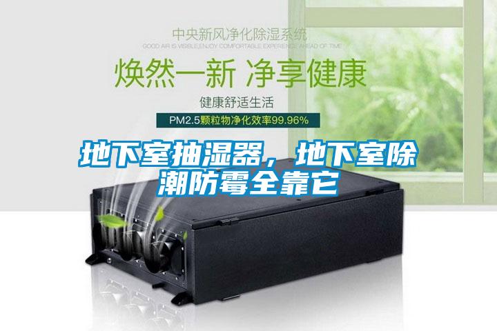 地下室抽濕器，地下室除潮防霉全靠它