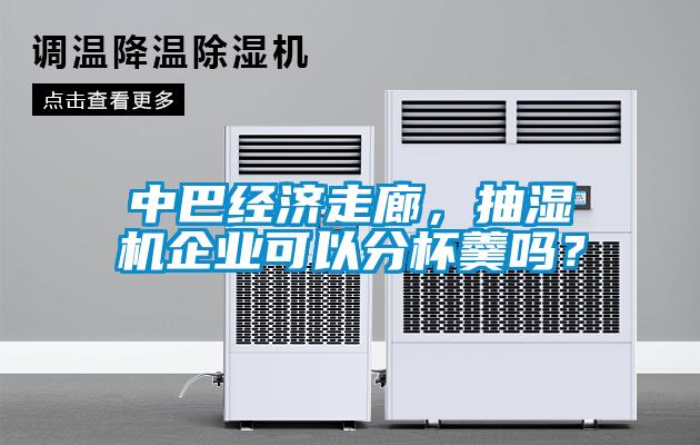 中巴經濟走廊，抽濕機企業(yè)可以分杯羹嗎？