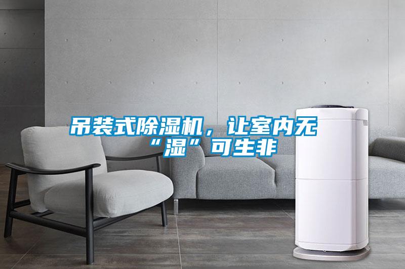 吊裝式除濕機，讓室內(nèi)無“濕”可生非