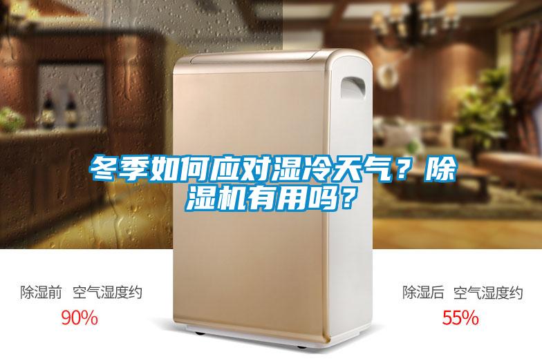 冬季如何應(yīng)對濕冷天氣？除濕機(jī)有用嗎？