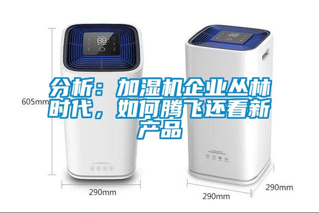分析：加濕機(jī)企業(yè)叢林時代，如何騰飛還看新產(chǎn)品