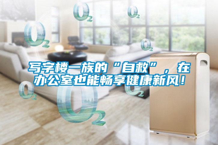 寫字樓一族的“自救”，在辦公室也能暢享健康新風！