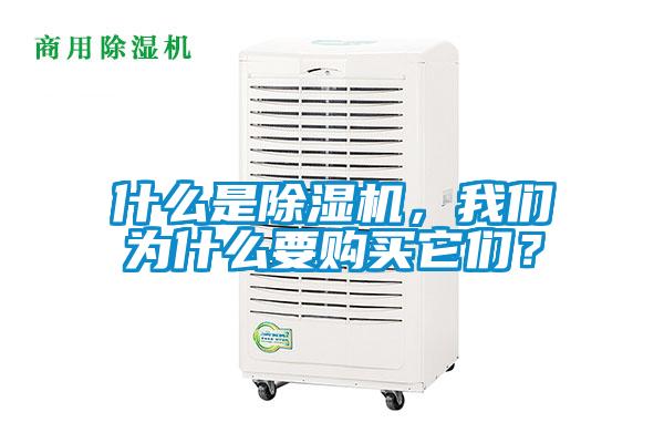 什么是除濕機，我們?yōu)槭裁匆徺I它們？