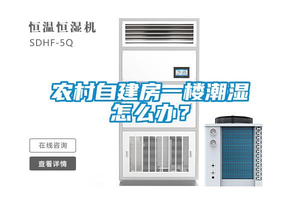 農(nóng)村自建房一樓潮濕怎么辦？