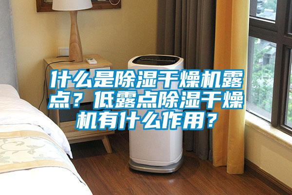 什么是除濕干燥機露點？低露點除濕干燥機有什么作用？