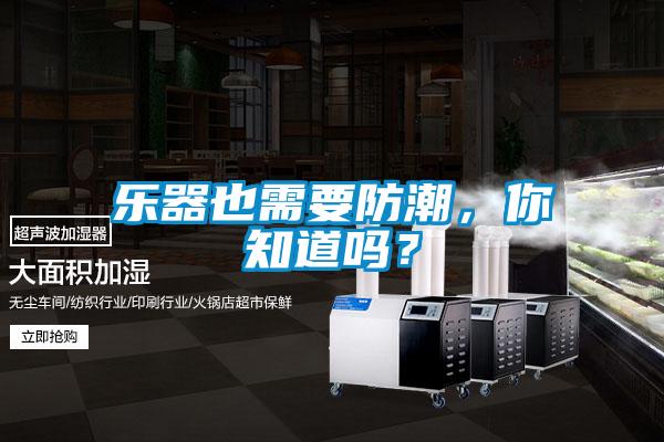 樂器也需要防潮，你知道嗎？