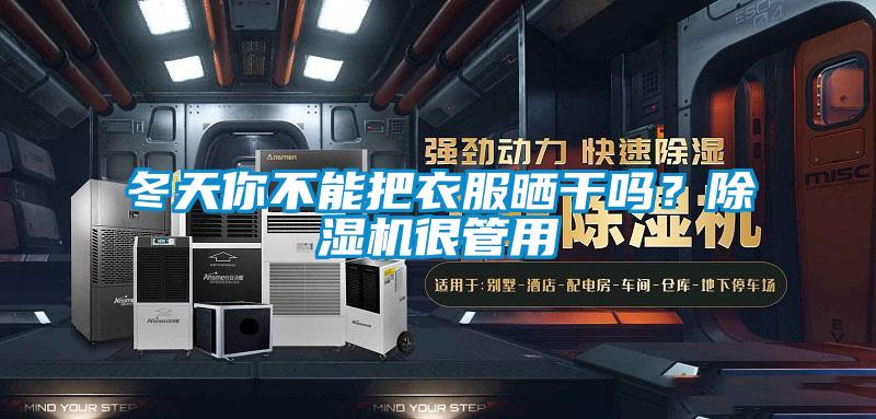 冬天你不能把衣服曬干嗎？除濕機很管用