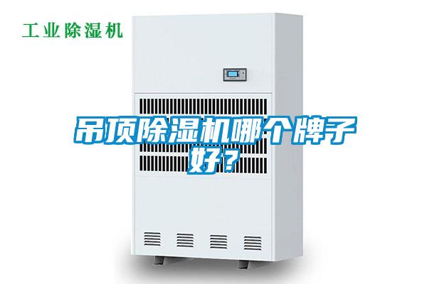 吊頂除濕機(jī)哪個(gè)牌子好？