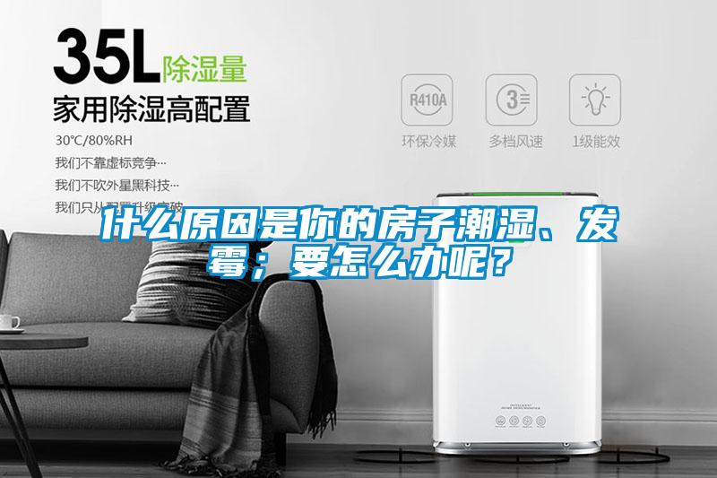 什么原因是你的房子潮濕、發(fā)霉；要怎么辦呢？