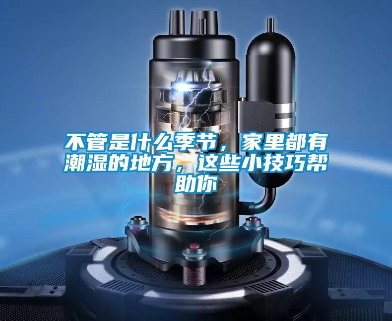 不管是什么季節(jié)，家里都有潮濕的地方，這些小技巧幫助你