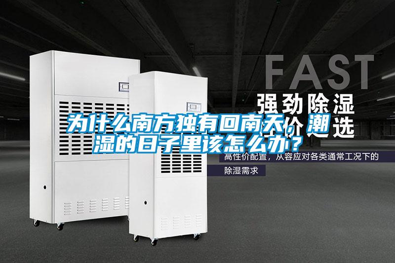 為什么南方獨有回南天，潮濕的日子里該怎么辦？