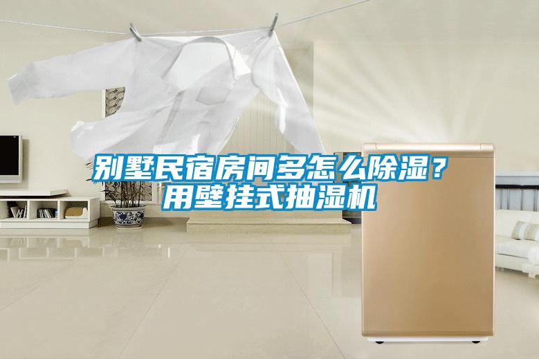 別墅民宿房間多怎么除濕？用壁掛式抽濕機(jī)