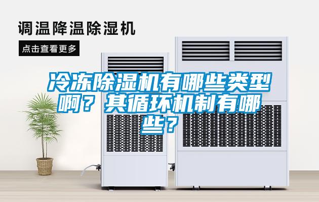 冷凍除濕機(jī)有哪些類型啊？其循環(huán)機(jī)制有哪些？