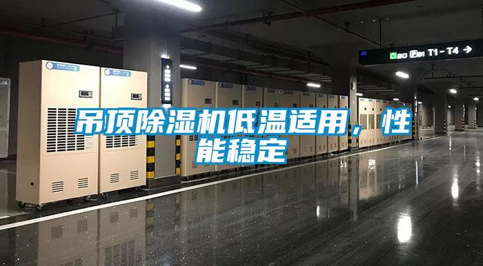 吊頂除濕機(jī)低溫適用，性能穩(wěn)定