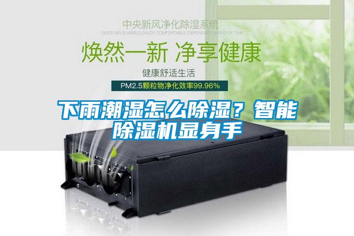 下雨潮濕怎么除濕？智能除濕機(jī)顯身手