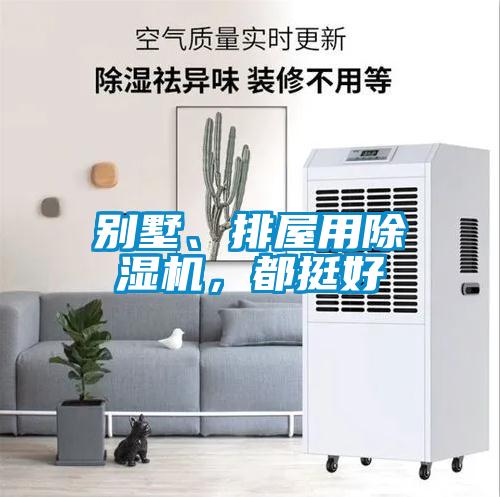 別墅、排屋用除濕機(jī)，都挺好