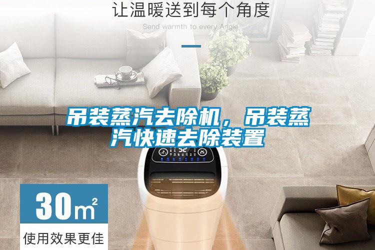 吊裝蒸汽去除機，吊裝蒸汽快速去除裝置