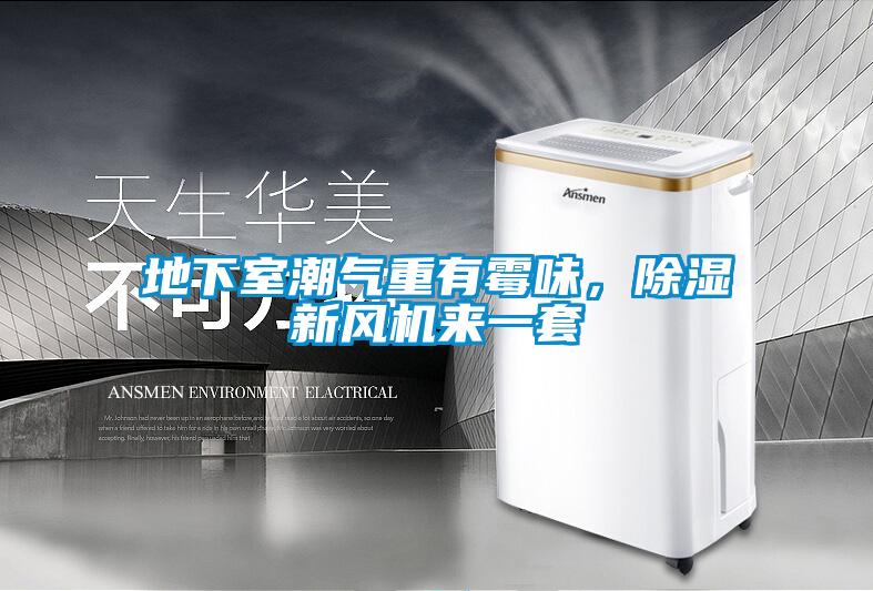 地下室潮氣重有霉味，除濕新風(fēng)機(jī)來一套