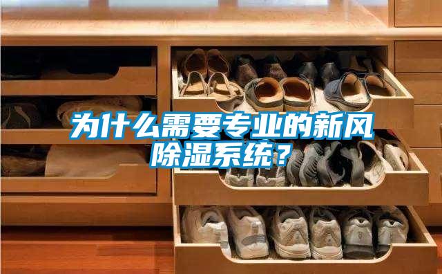 為什么需要專業(yè)的新風(fēng)除濕系統(tǒng)？