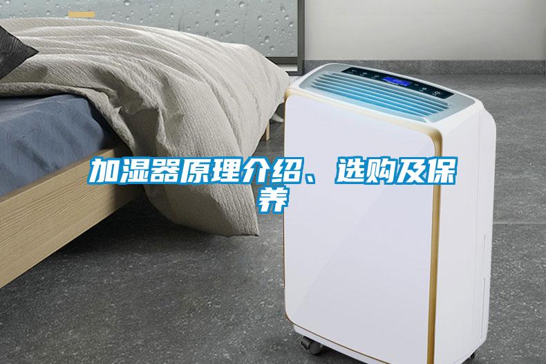 加濕器原理介紹、選購及保養(yǎng)