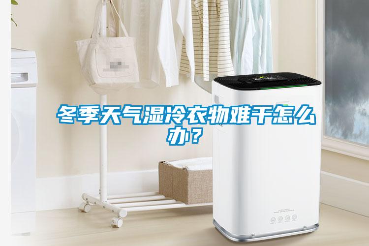 冬季天氣濕冷衣物難干怎么辦？