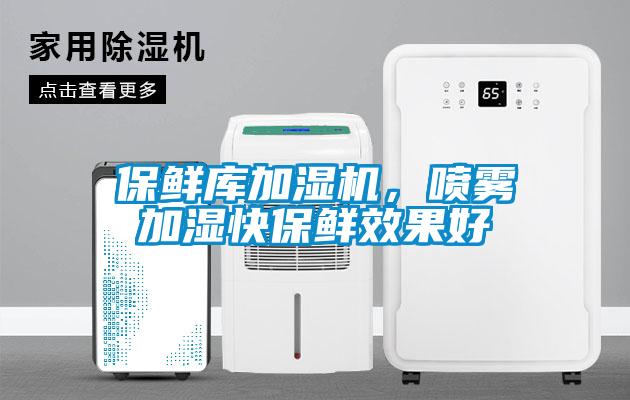 保鮮庫加濕機，噴霧加濕快保鮮效果好