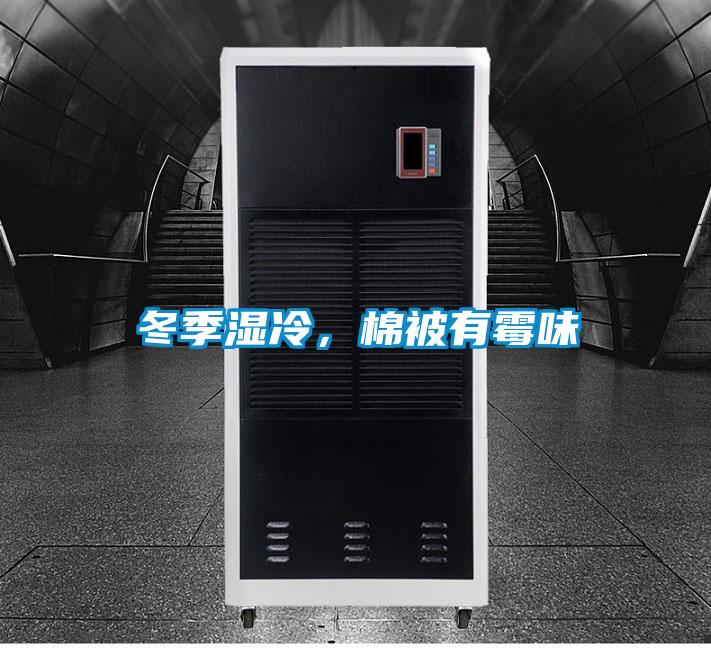 冬季濕冷，棉被有霉味