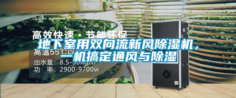 地下室用雙向流新風(fēng)除濕機，一機搞定通風(fēng)與除濕