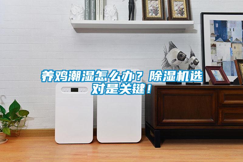 養(yǎng)雞潮濕怎么辦？除濕機(jī)選對(duì)是關(guān)鍵！