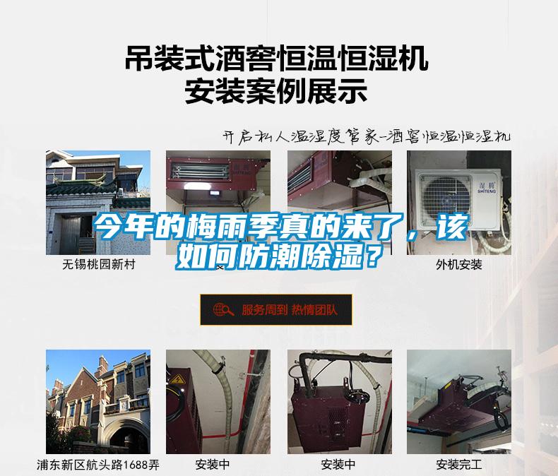 今年的梅雨季真的來了，該如何防潮除濕？