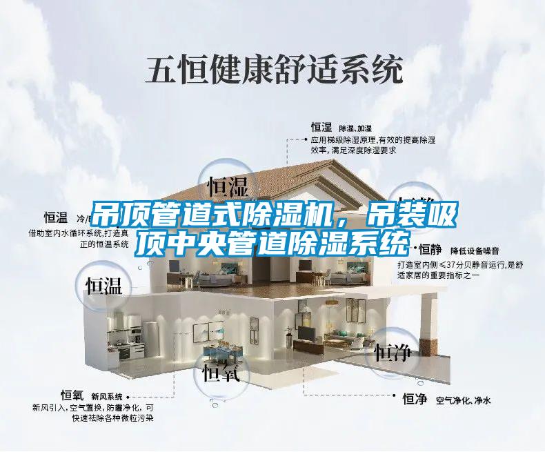 吊頂管道式除濕機，吊裝吸頂中央管道除濕系統(tǒng)