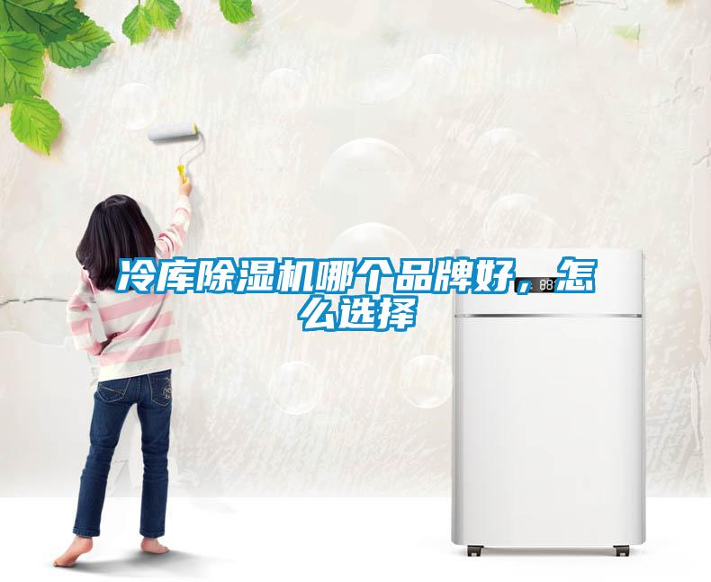 冷庫除濕機哪個品牌好，怎么選擇