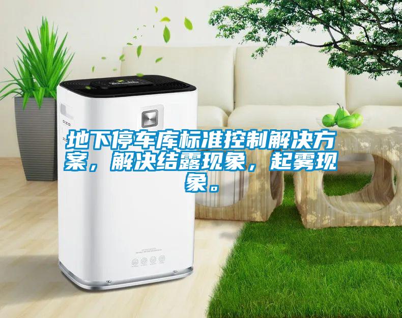 地下停車庫標準控制解決方案，解決結(jié)露現(xiàn)象，起霧現(xiàn)象。