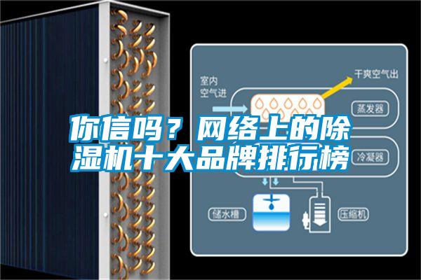 你信嗎？網(wǎng)絡上的除濕機十大品牌排行榜